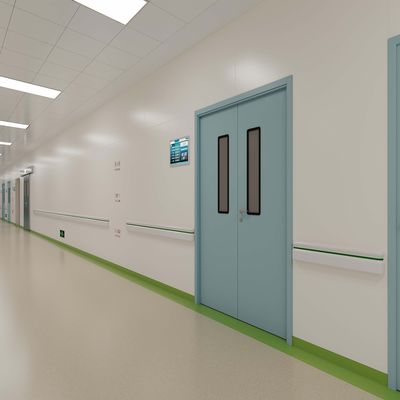 Hinged Airtight Steel Cleanroom Door Customized Hospital Double Swing Doors Blue Ivory Green